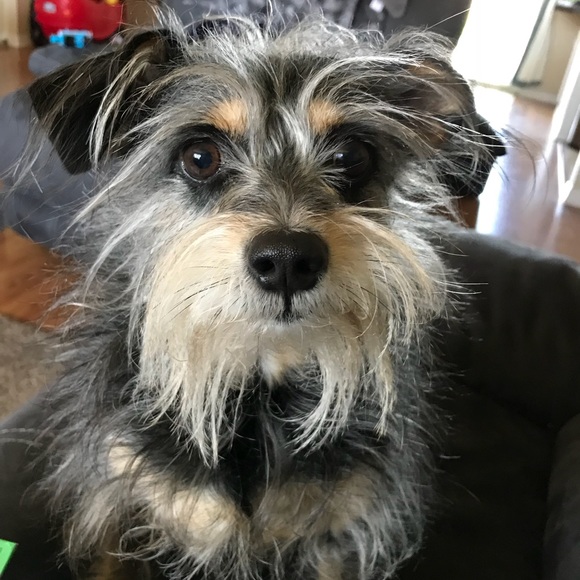 Meet your Posher, Cristin - Picture 1 of 1